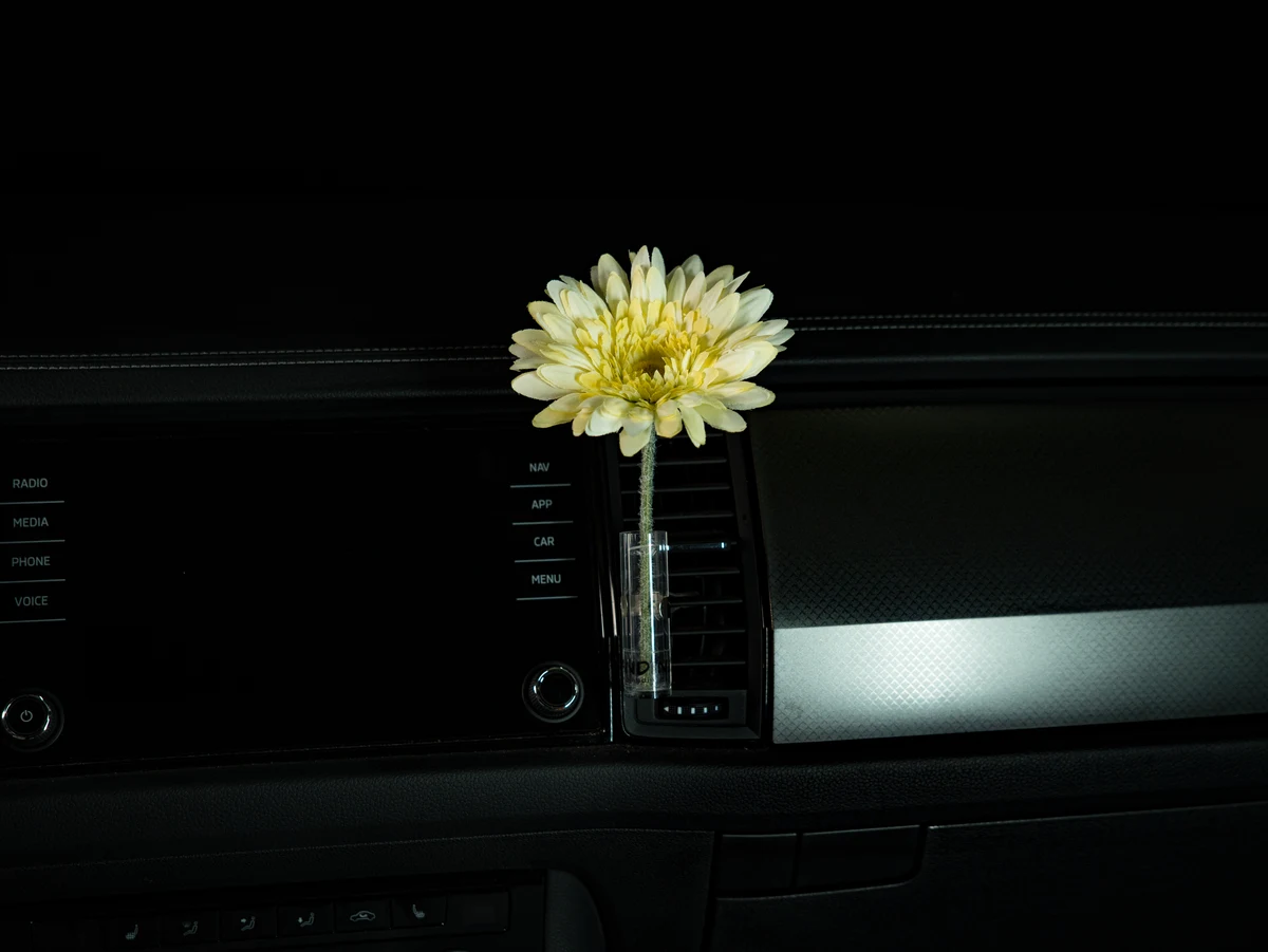 Autovase Gerbera Beige im Auto