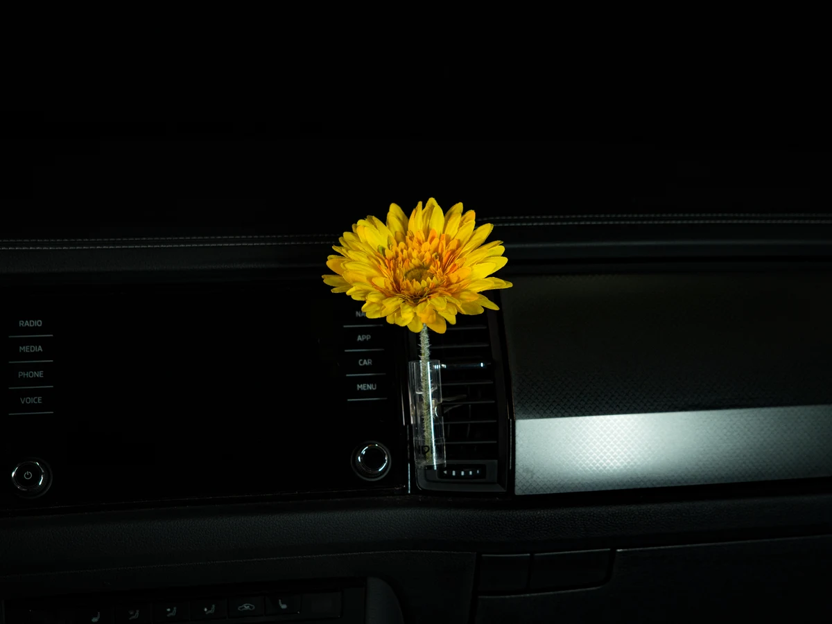 Autovase Gerbera Gelb im Auto
