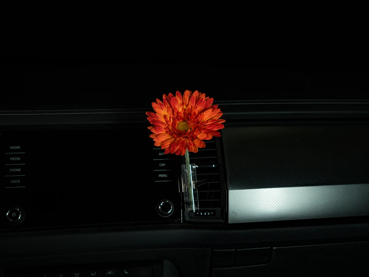 Autovase Gerbera Orange im Auto