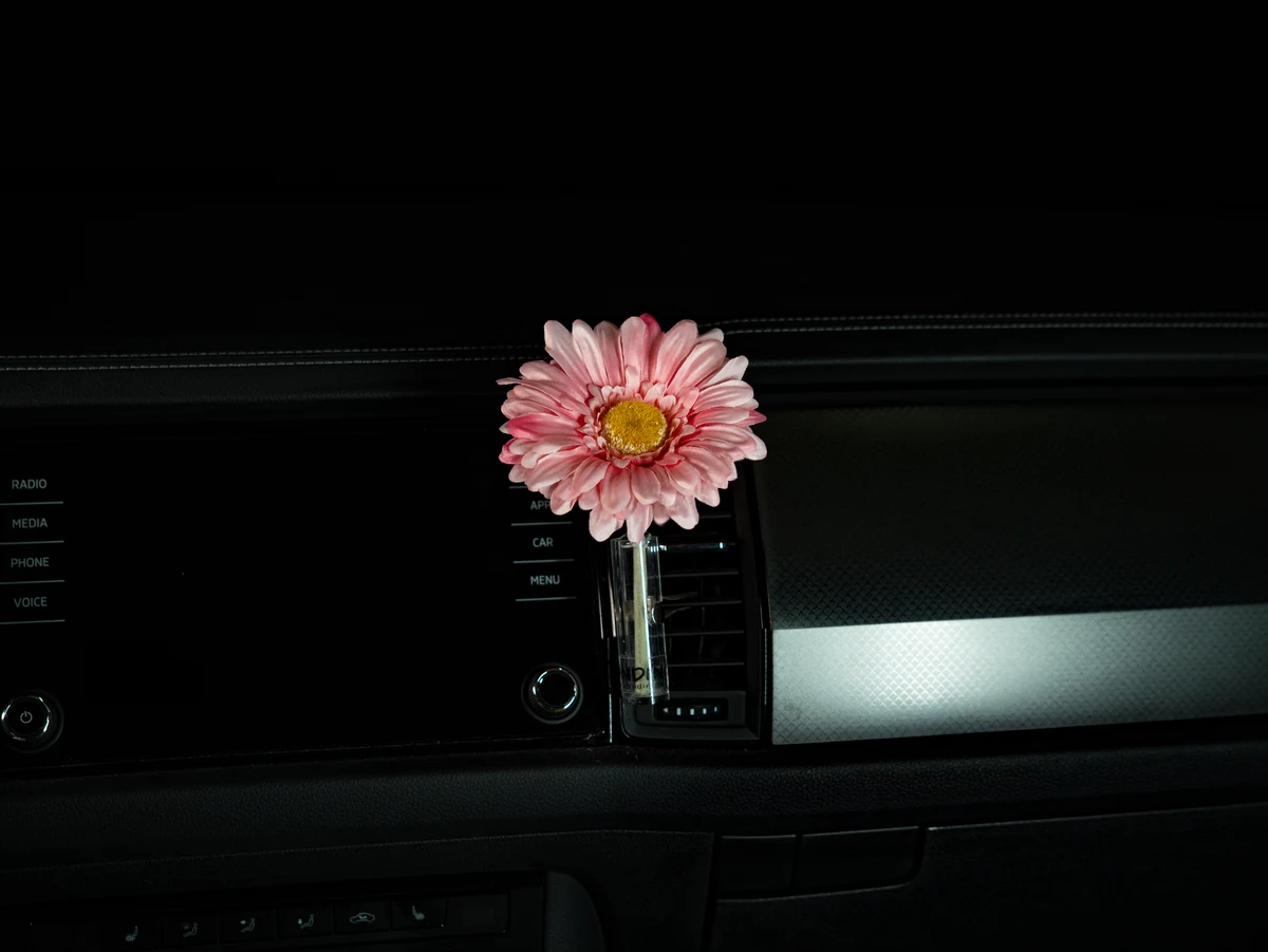 Autovase Gerbera Rosa im Auto