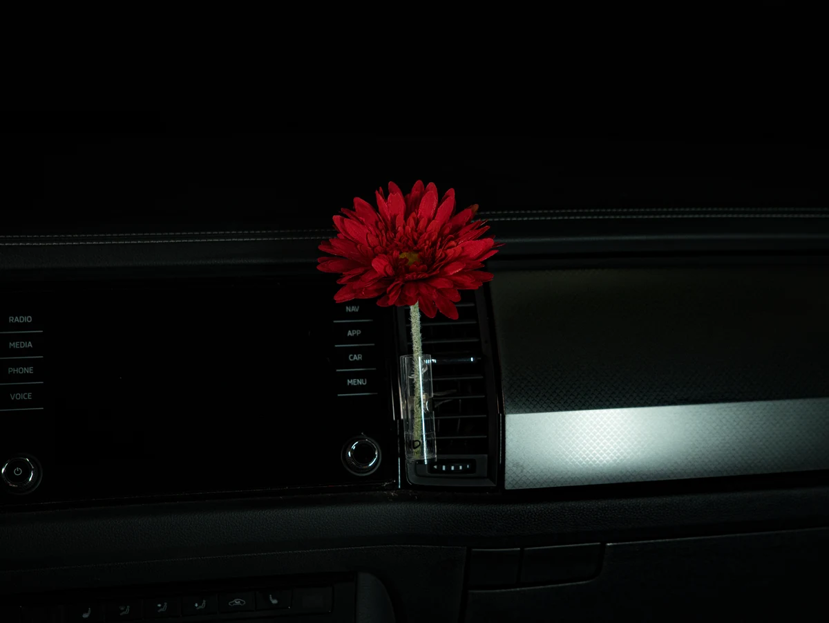 Autovase Gerbera Rot im Auto