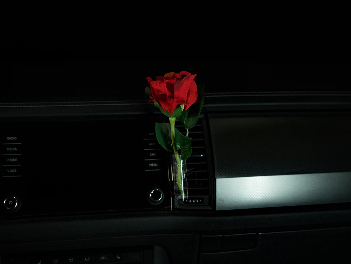 Autovase Rose Rot im Auto