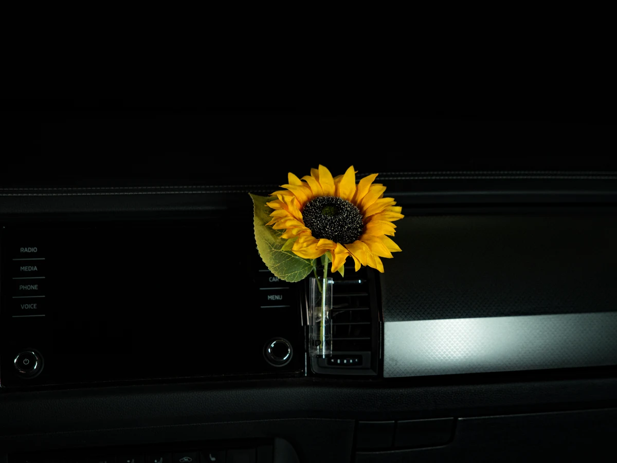 Autovase Sonnenblume im Auto
