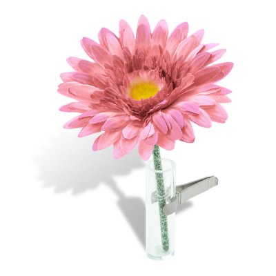 Car Flower - Gerbera pink