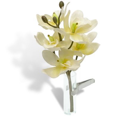 Car Vase - Orchid cream