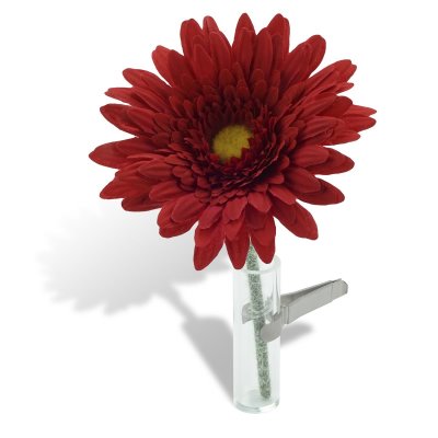 Car Vase - Gerbera red