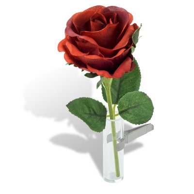 Car Vase - Rose red